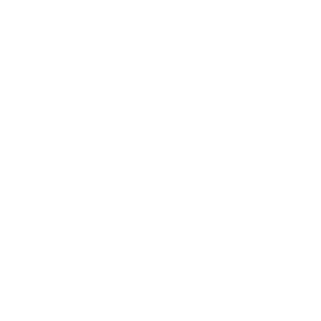 BLH Szkolenia - logo